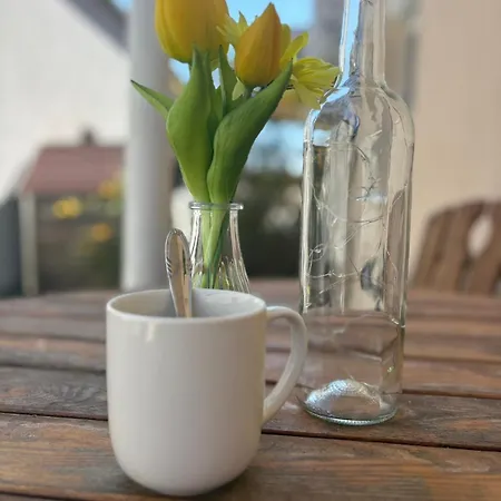 Malomfeszek Apartmán *