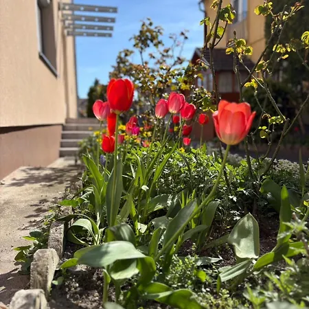 Malomfészek Apartamento *